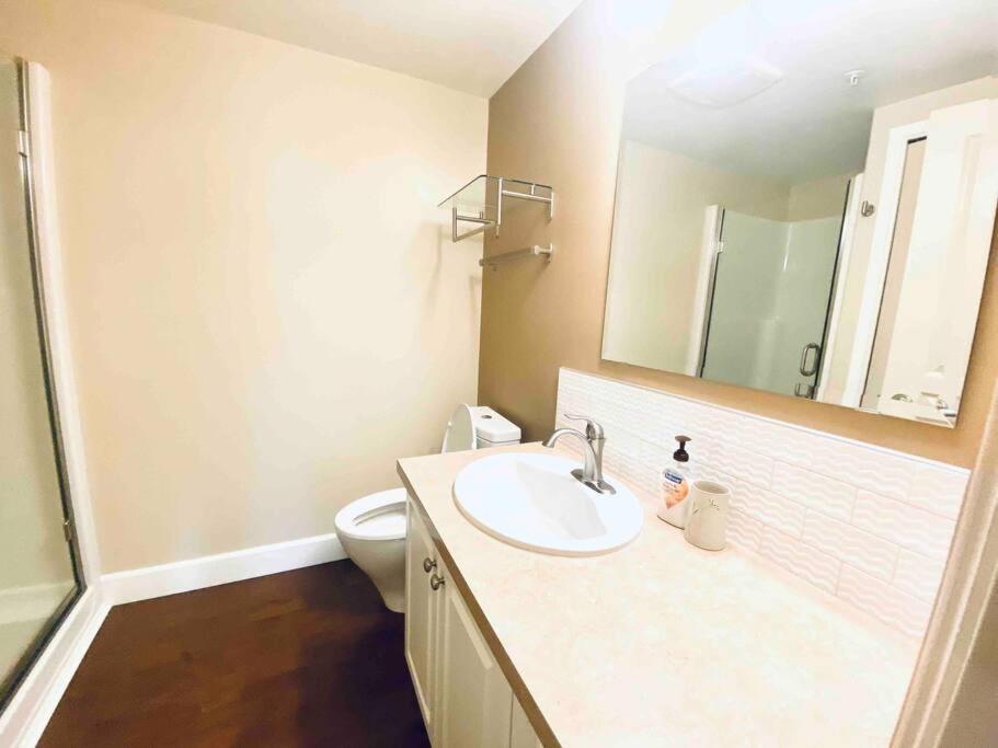 Amazing Location 2 Bedroom Minutes From Downtown Apartment